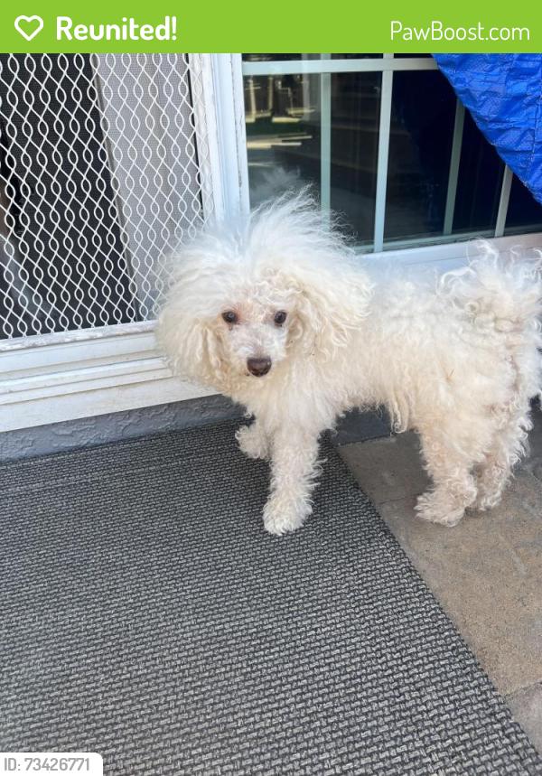 Reunited Male Dog last seen Mabury rd and mayglen way, San Jose, CA 95133