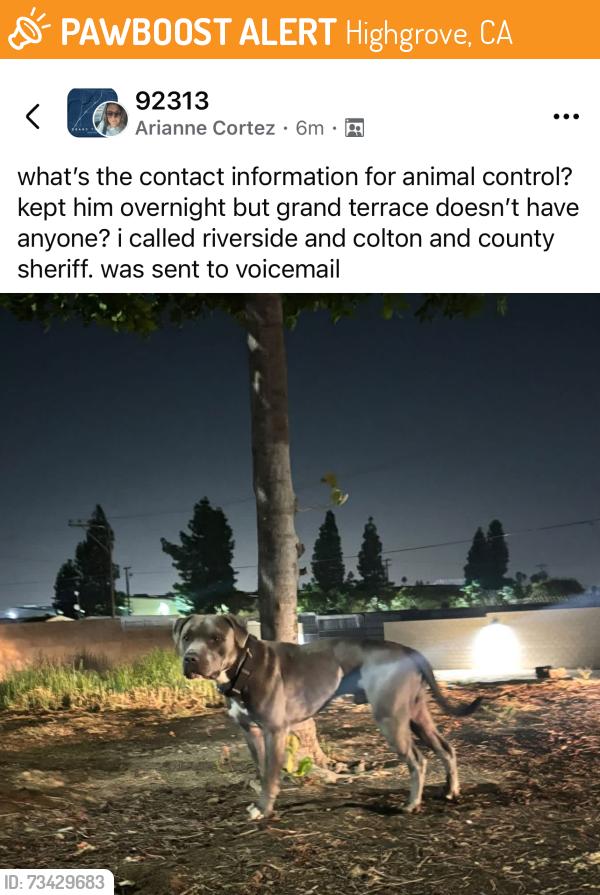 Found/Stray Male Dog last seen Grand terrace high school, Highgrove, CA 92507