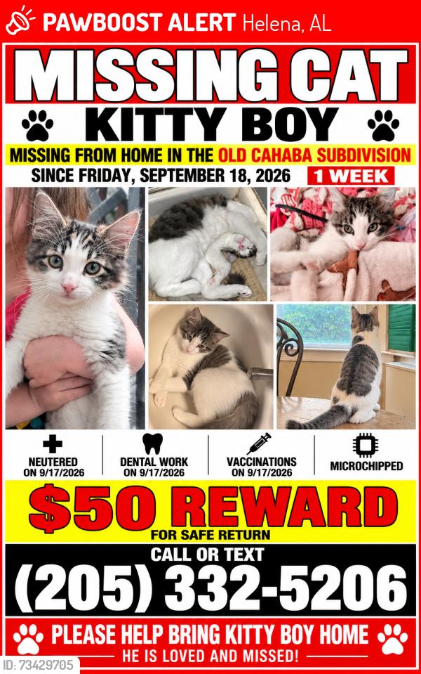 Lost Male Cat last seen Lilly Park and Helena Intermediate School, Helena, AL 35080