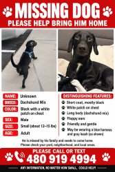 Reunited Male Dog last seen Evergreen & Riverview Park, Tempe, AZ 85288