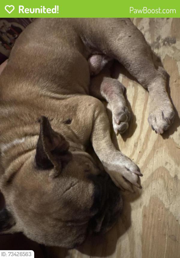 Reunited Male Dog last seen Near, Cleveland, TX 77327