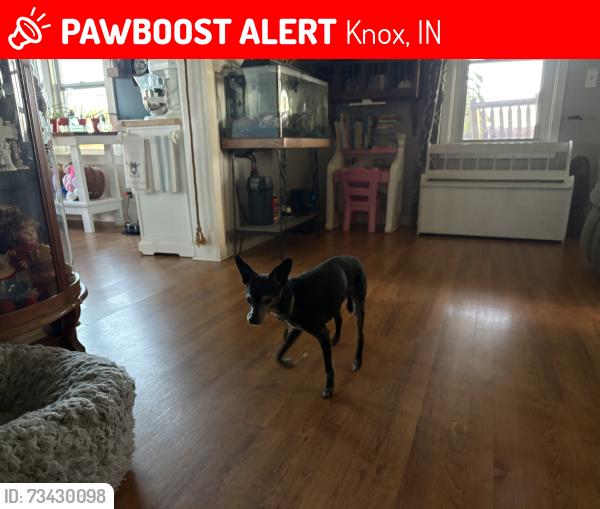 Lost Male Dog last seen Range Road, Knox, IN 46534