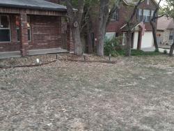 Lost Female Dog last seen Bellcrest, Bohill,, San Antonio, TX 78217