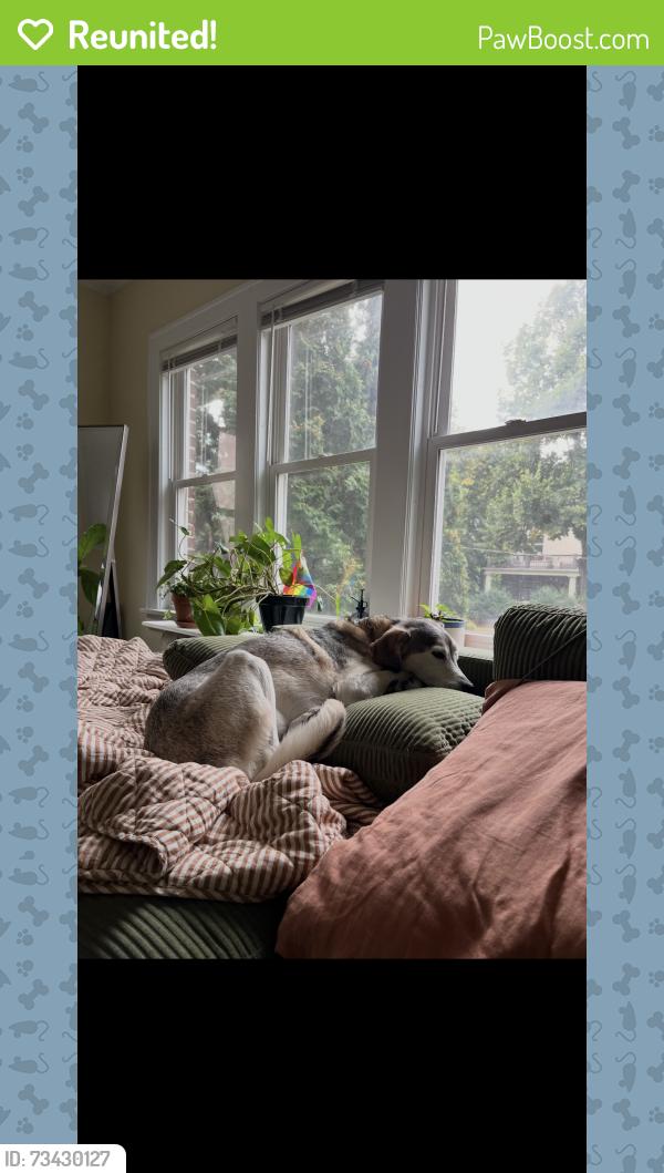 Reunited Male Dog last seen Near Emerson Ave s, Minneapolis, MN 55403