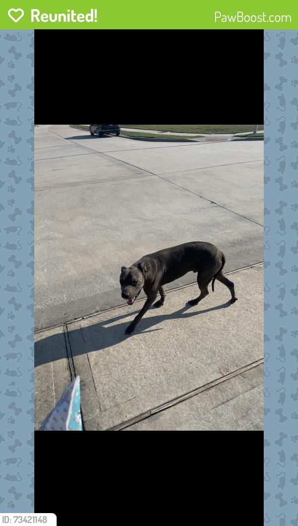 Reunited Male Dog last seen Cayden Creek Way and Sgt Holcomb, Conroe, TX 77304