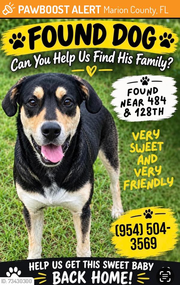 Found/Stray Male Dog last seen SW 129th Ave & HWY 484, Marion County, FL 34432