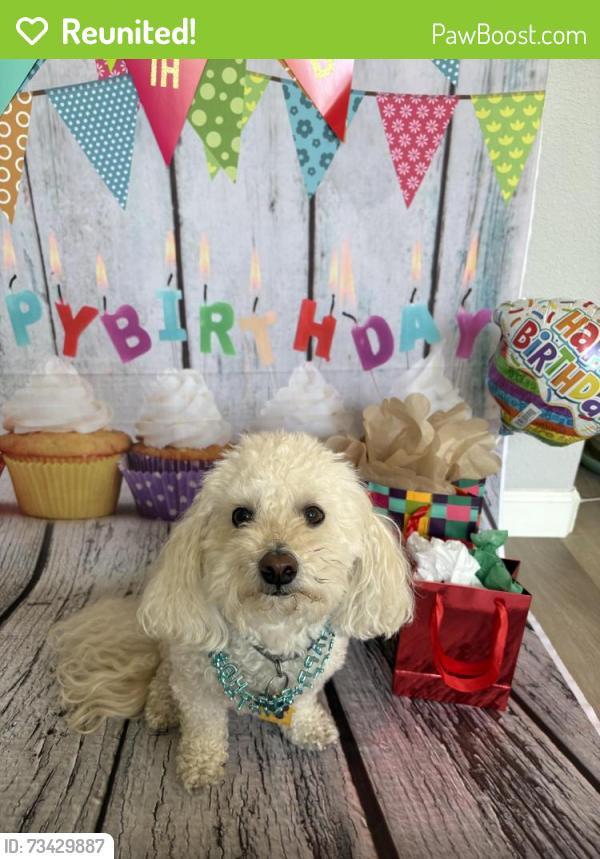 Reunited Male Dog last seen 25th and O St, Sacramento, CA 95816