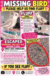 Lost Female Bird last seen Thornlie, Thornlie, WA 6108