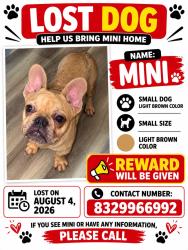 Lost Male Dog last seen Near county road 3993, Cleveland, TX 77328