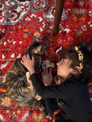 Reunited Female Cat last seen Malana ct, Rancho Cordova, CA 95742