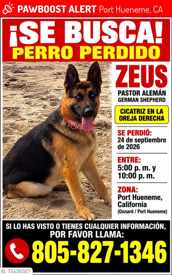 Lost Male Dog last seen Port Hueneme, Port Hueneme, CA 93041