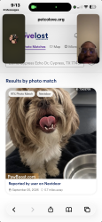 Reunited Male Dog last seen Cypress Echo, Cypress, TX 77433