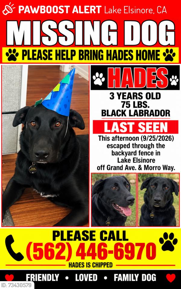 Lost Male Dog last seen Morro Way & Grand Ave., Lake Elsinore, CA, Lake Elsinore, CA 92530