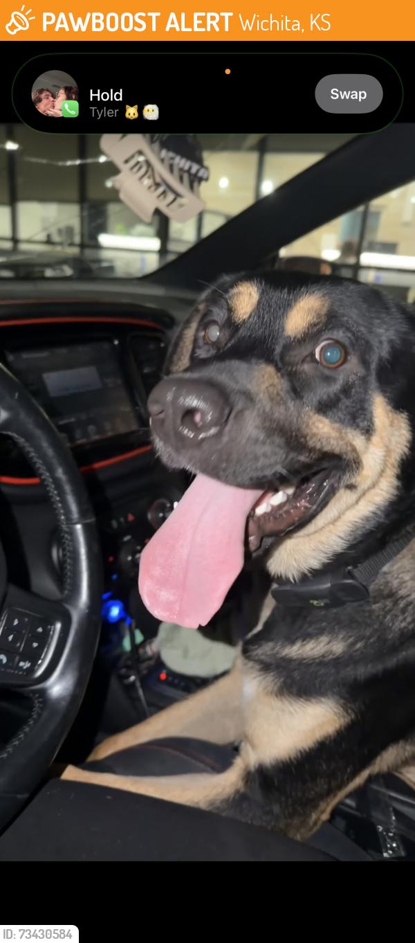 Found/Stray Unknown Dog last seen Quik shop on 47th, Wichita, KS 67217
