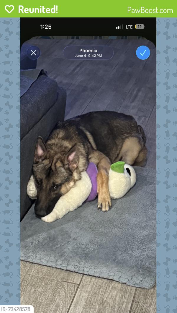 Reunited Male Dog last seen W ceton dr , phoenix, Laveen, AZ 85339