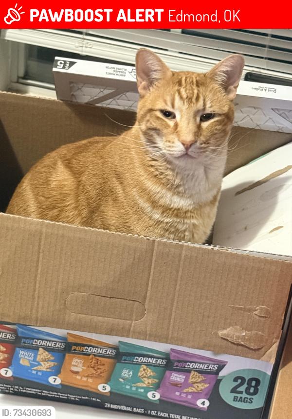 Lost Male Cat last seen Western &178th, Edmond, OK 73012