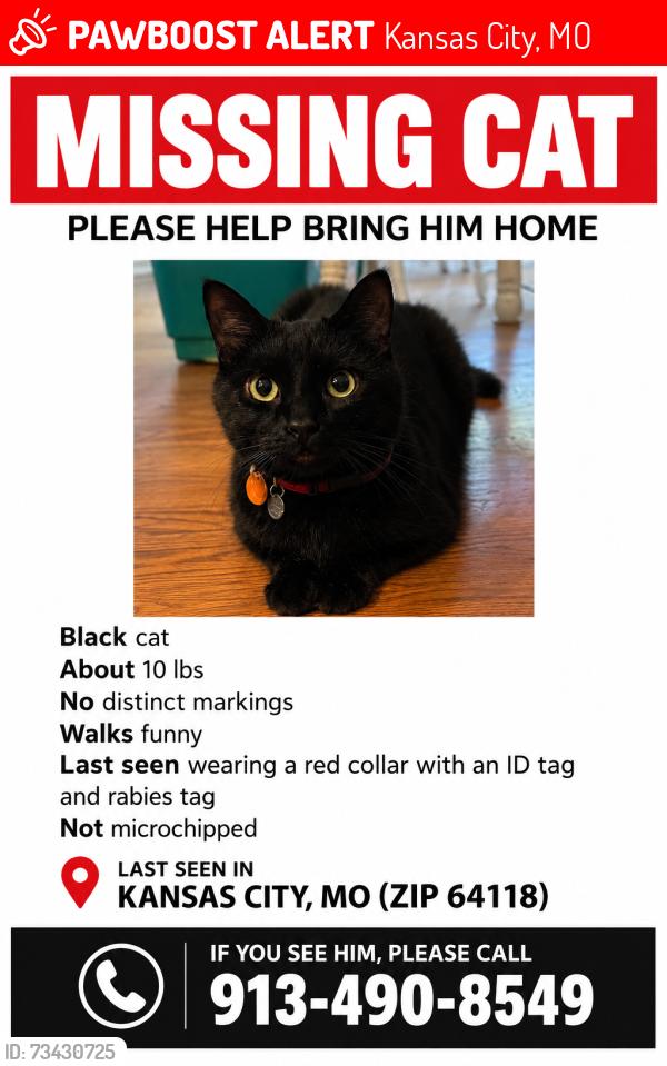 Lost Male Cat last seen Near hwy and NW Englewood Rd, Kansas City, MO 64118