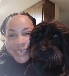 Lost Male Dog last seen Treat boulevard, Concord, CA 94521