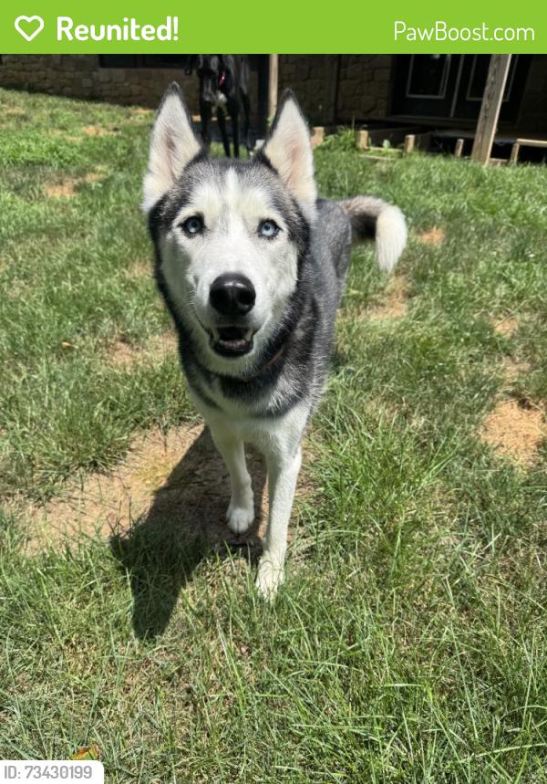 Reunited Male Dog last seen Pump Station Rd SE, Berne twp, OH, USA, Berne Township, OH 43155