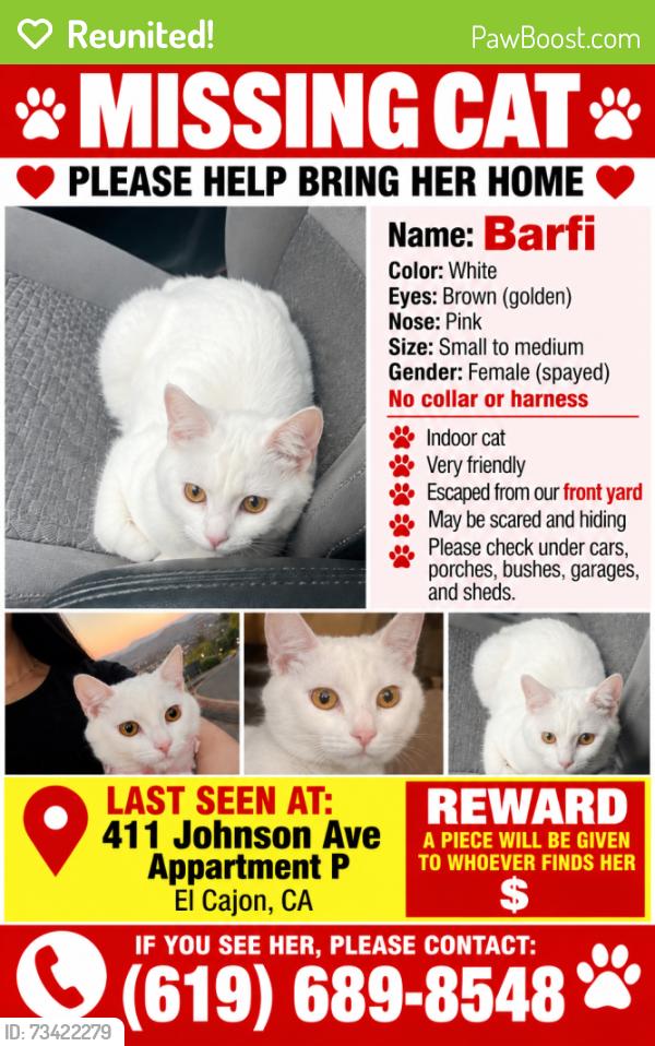 Reunited Female Cat last seen Near Johnson ave, El Cajon, CA 92020
