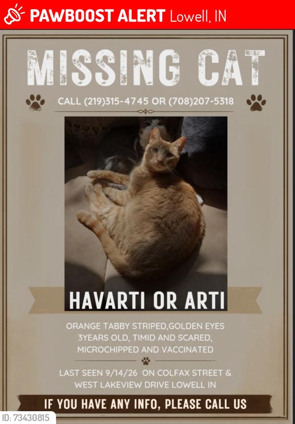 Lost Male Cat last seen Island Drive, Lowell, IN 46356