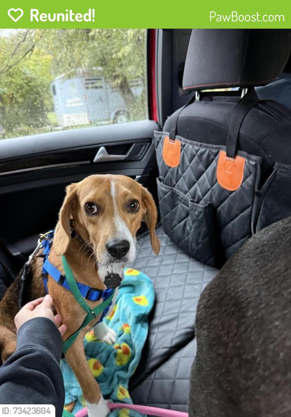 Reunited Male Dog last seen Fading Star Ct, Frederick County, VA 22656