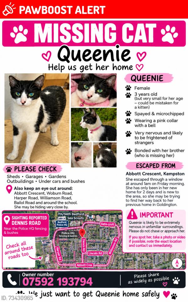 Lost Female Cat last seen Dennis road, Kempston, England MK42 7QJ