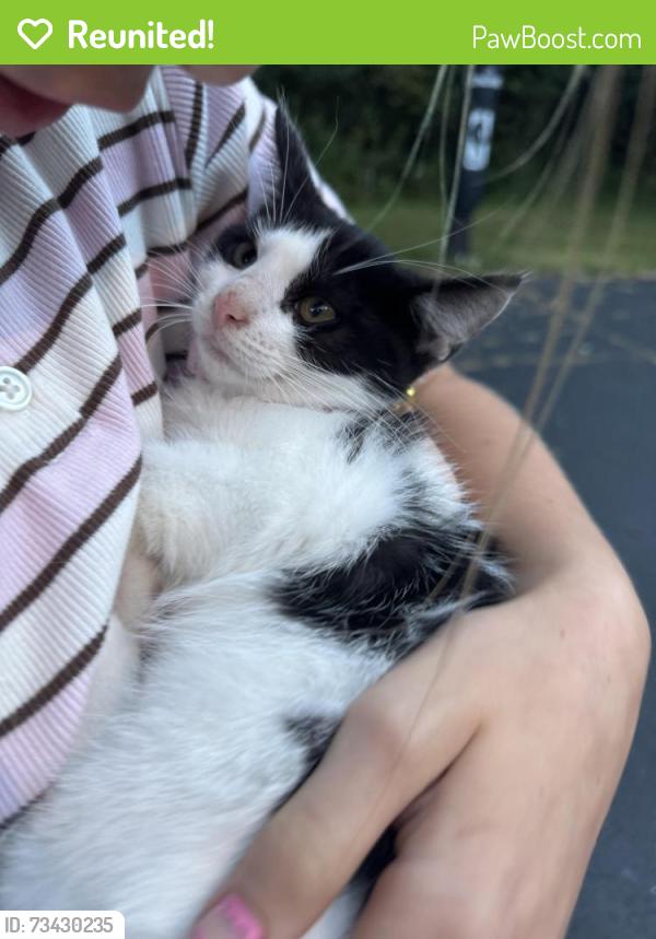 Reunited Female Cat last seen Wescott and lake shore dr, Mequon, WI 53092