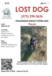Lost Female Dog last seen Parkwick Drive, Columbus, OH 43228
