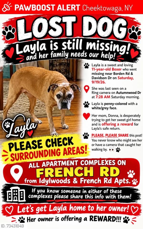 Lost Female Dog last seen Autumnwood Dr, Cheektowaga, NY 14227