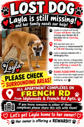 Lost Female Dog last seen Autumnwood Dr, Cheektowaga, NY 14227