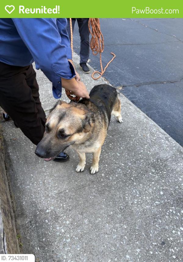Reunited Male Dog last seen Near Anderson Livsey Ln, Snellville, GA 30039, USA, Snellville, GA 30039