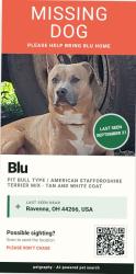 Lost Female Dog last seen Summit and Rootstown Rds, Ravenna, OH 44266