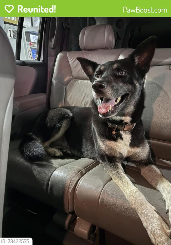 Reunited Female Dog last seen Cowell Rd., Concord, CA 94518