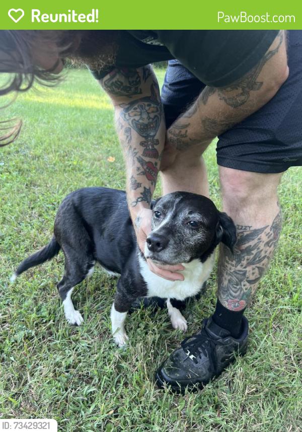 Reunited Female Dog last seen Catharpin / Lawyers, Lawyers Rd, VA 22551