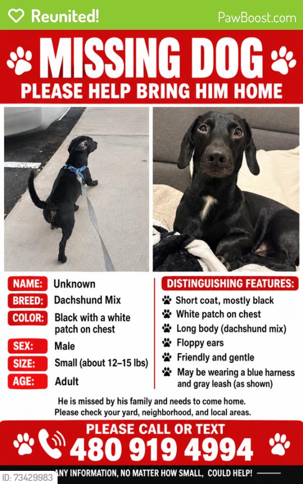 Reunited Male Dog last seen Evergreen & Riverview Park, Tempe, AZ 85288