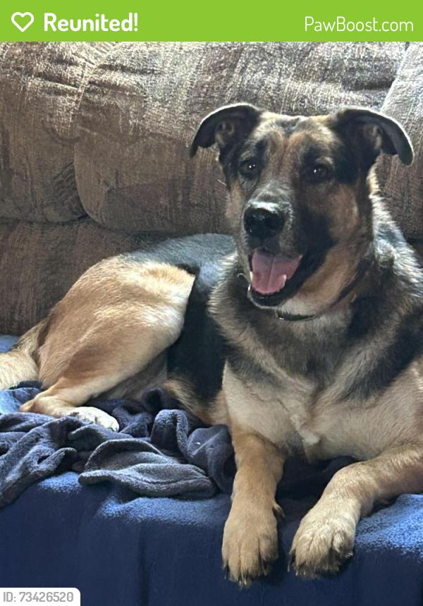 Reunited Female Dog last seen Near smith st & FM 1488, Magnolia, TX 77354