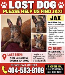 Reunited Male Dog last seen Hurt Rd SW, Smyrna, GA, USA, Smyrna, GA 30082
