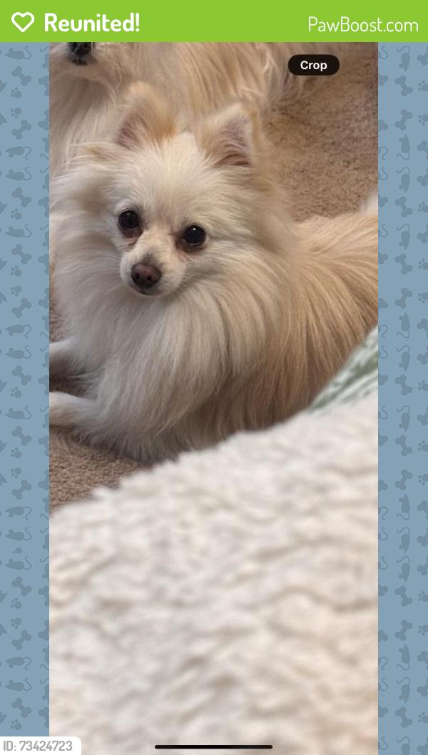 Reunited Male Dog last seen Near Sutherland Dr, Corpus Christi, TX 78414, USA, Corpus Christi, TX 78414