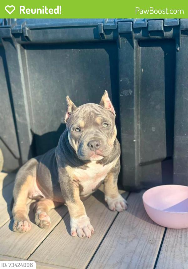 Reunited Female Dog last seen W E Street / Rio Linda Blvd - Rio Linda CA, Rio Linda, CA 95673