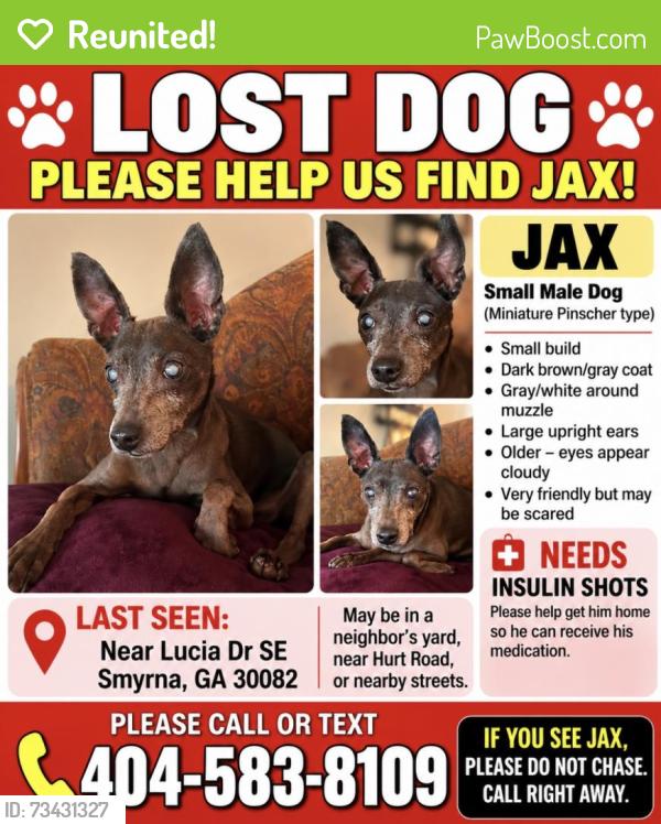 Reunited Male Dog last seen Hurt Rd SW, Smyrna, GA, USA, Smyrna, GA 30082