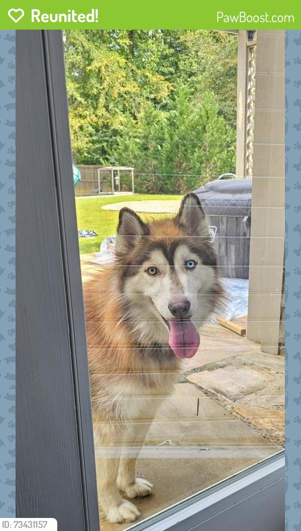 Reunited Male Dog last seen Birnham Woods Elementary, Montgomery County, TX 77386