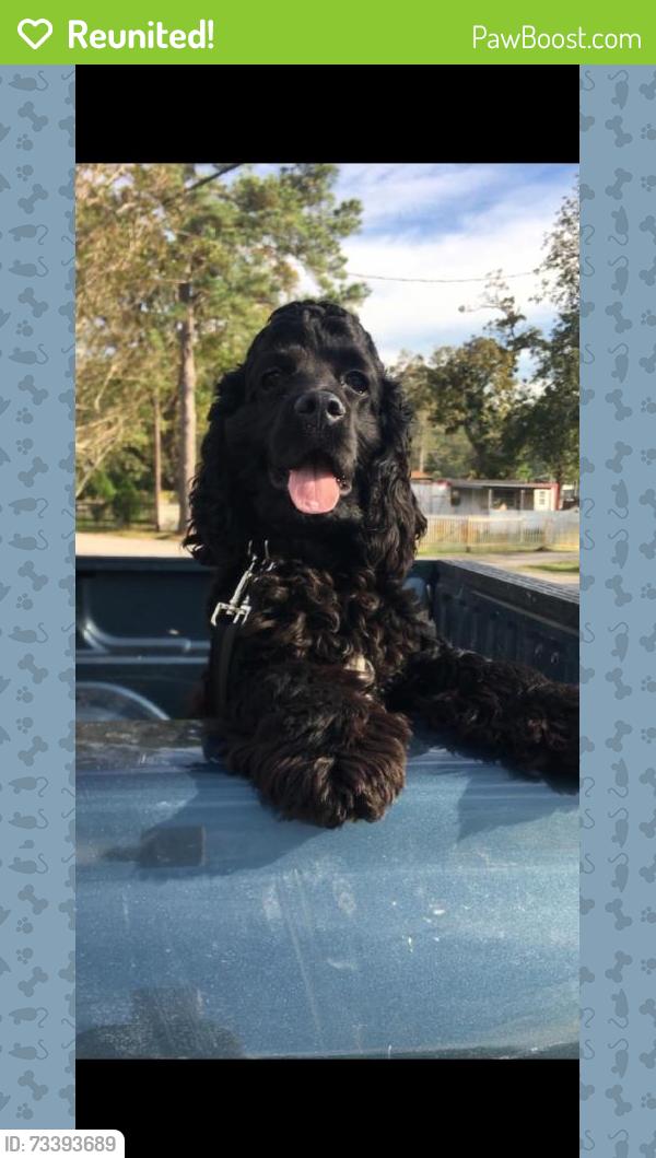 Reunited Male Dog last seen becker st, Channelview, TX 77530