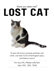 Lost Male Cat last seen Nottingham pkwy and weston lane N, Maple Grove, MN 55311