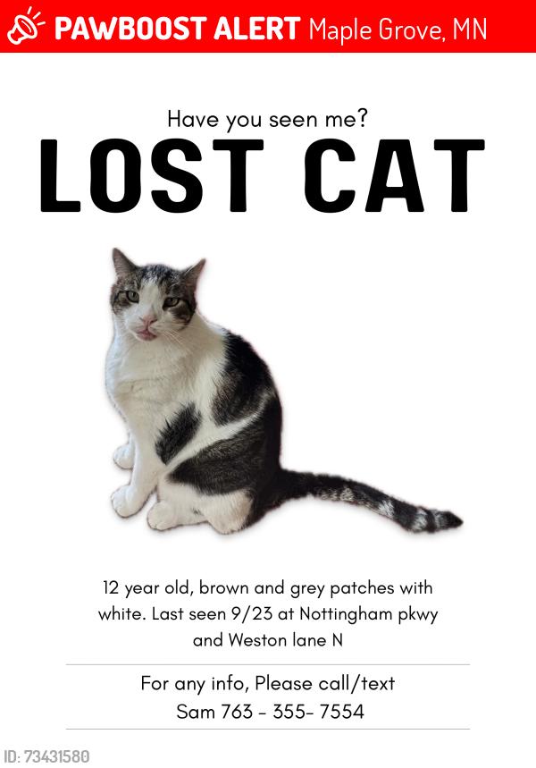 Lost Male Cat last seen Nottingham pkwy and weston lane N, Maple Grove, MN 55311