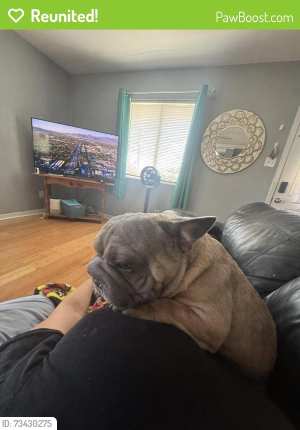 Reunited Male Dog last seen Near Star Dr, San Leon, TX 77539, USA, San Leon, TX 77539