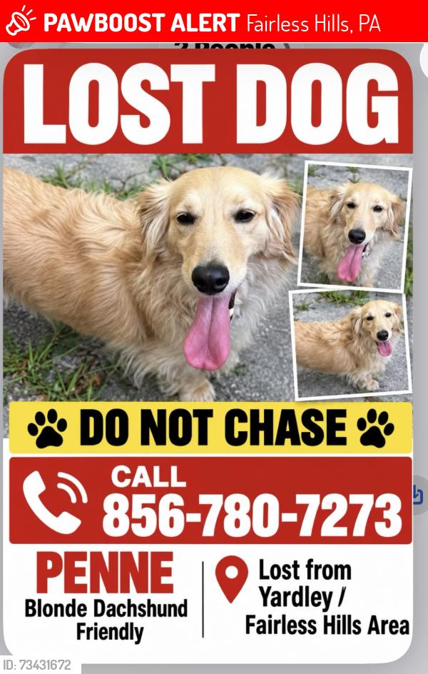 Lost Female Dog last seen Near Tyburn Road, Fairless Hills, PA 19030
