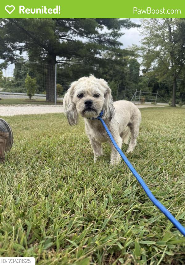 Reunited Male Dog last seen WildCare Park, St. Louis County, MO 63138