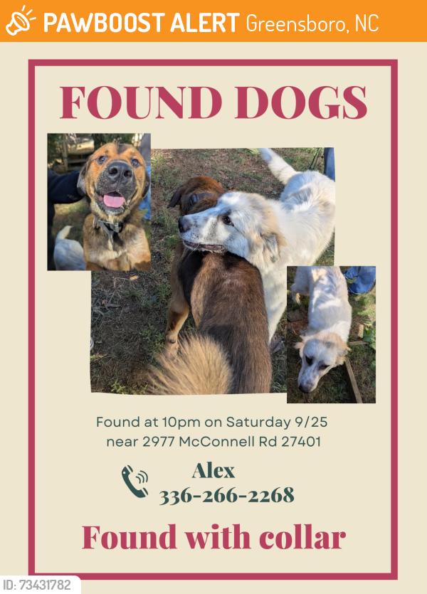 Found/Stray Male Dog last seen A & T plant/soil lab, Greensboro, NC 27401