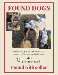 Found/Stray Male Dog last seen A & T plant/soil lab, Greensboro, NC 27401
